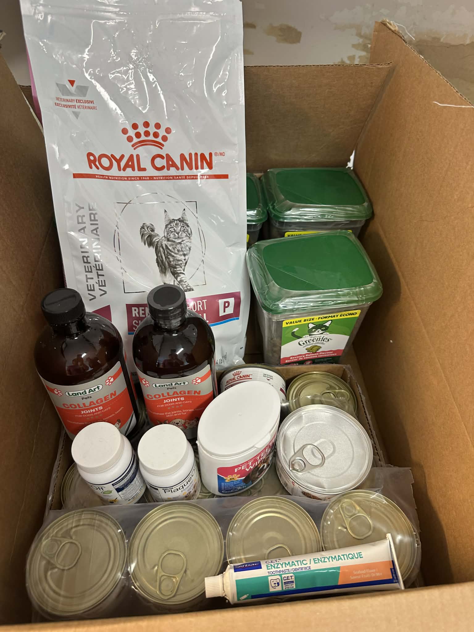 Supplies and care items for shelter cats