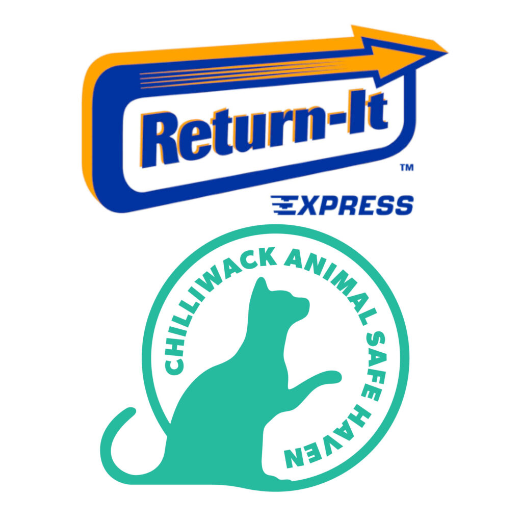 Return-it Express logo (the local bottle depots that can accept cans and bottles for donations.). The logo is blue, with a blue and yellow arrow behind it pointing to the right. The "E" on express looks like speed lines. Underneath that is the Chilliwack Animal Safe Haven logo in teal.