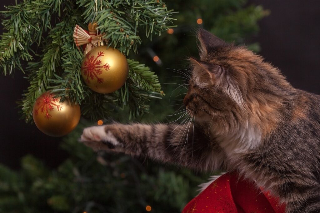 The profile of a tabby cat pawing a golden Christmas ornament that's on a fake Christmas tree. Golden ornaments are on the tree, and there's a red cloth tucked beside the cat.